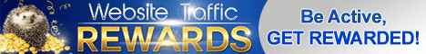 Website Traffic Rewards